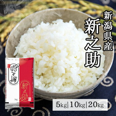 新潟県産 新之助 5kg 10kg 20kg 令和 6年産 ｜ 送料無料 ミツハシライス 一般米 精米 白米 国産 国内産 新潟県 しんのすけ 人気 おすすめ 美味しい おいしい 定番 5キロ 10キロ 20キロ 粘り 旨み あっさり コンビニ受取対応 幸浦