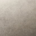 <3M><ダイノック>フィルム Mortar/Plaster 左官 AE-2161 原反巾 1220mm 1巻(50m)