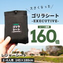 レジャーシート 防水 大きい コンパクト  厚手 に負けない 頑丈 丈夫 撥水 薄い アウトドア レジャー キャンプ 運動会 荷物置き 海 山 登山 遠足 防災 大きめ 大きい ペグ 穴 洗濯 洗える 170g 145 × 180cm ブラック 送料無料 太陽 公式