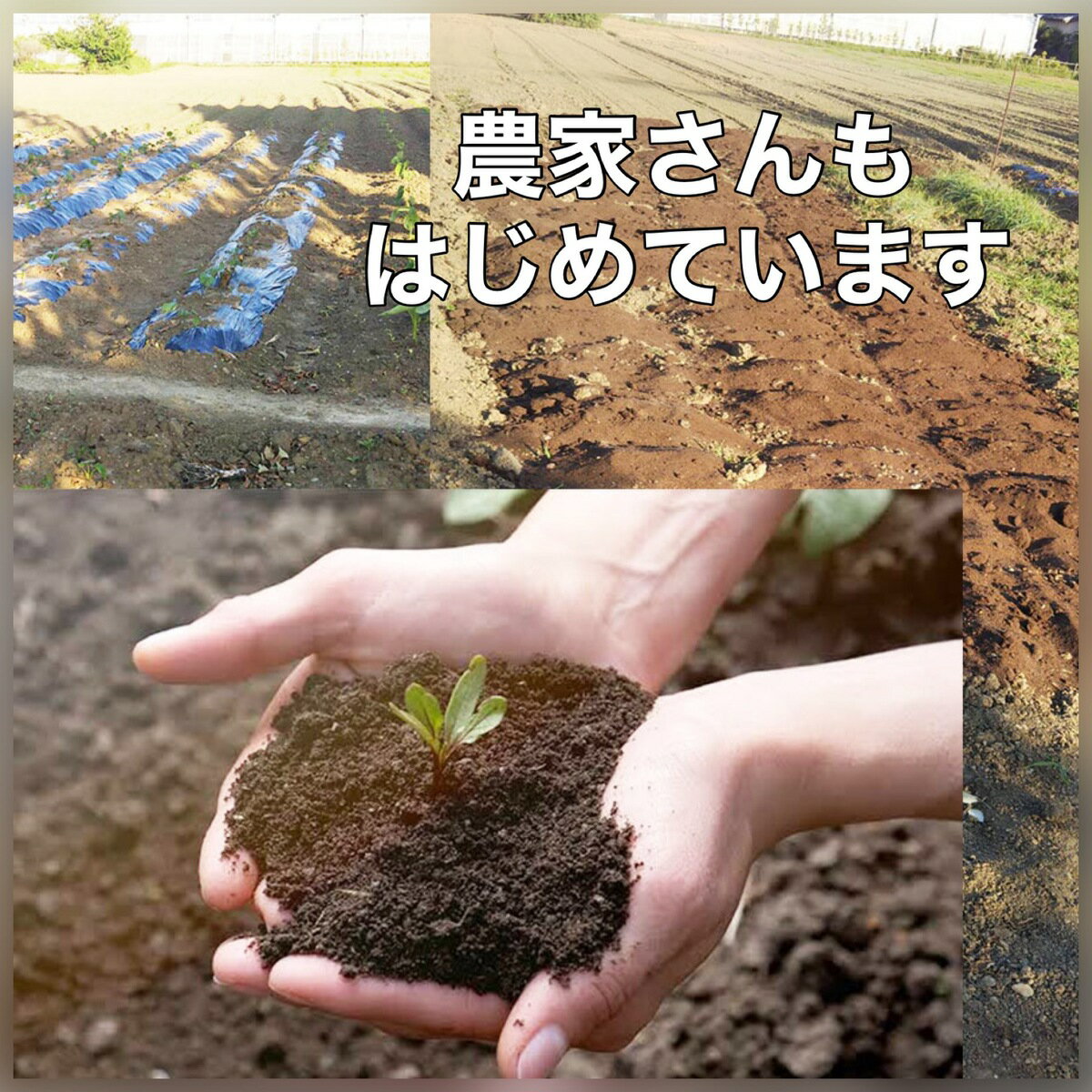 【2セット】有機肥料 オーガニック 肥料 野菜 窒素 植物性肥料 植物性 土壌改良 有...