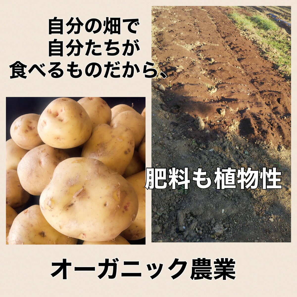 【2セット】有機肥料 オーガニック 肥料 野菜 窒素 植物性肥料 植物性 土壌改良 有...