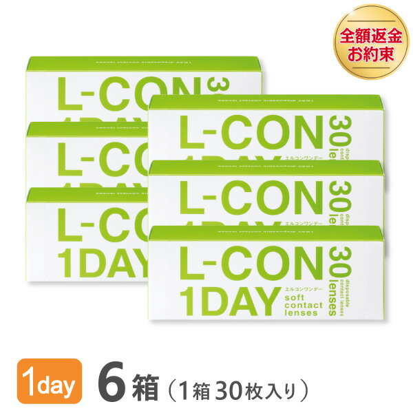 【送料無料】エルコンワンデー 6箱セット【30枚×6箱】（使い捨てコンタクトレンズ / シンシア / エルコン / LCON / L-CON 1DAY / 1日使い捨て ）