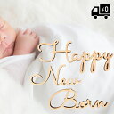 レターバナー Happy New Born ニューボーンフォト グッズ 撮影 小物 赤ちゃん 誕生 写真 新生児 フォト photo おしゃれ 木製 飾り 生誕...