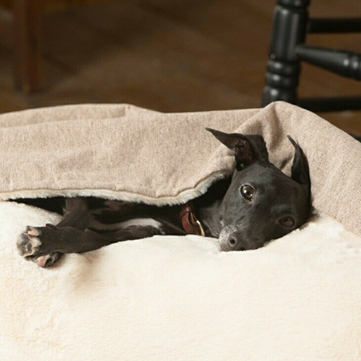 【送料無料】温かペット寝袋ベッド ポケット付き犬猫用クッションベッド 犬用ベッド やわらかドッグベッド インポートドッグベッド オールシーズン 介護ペット用品 洗えるクッションベッド あったかドッグベッド 快適快眠 すこやかワンコ生活 快適ワンコ