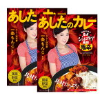 【メーカー直売】カレー研究家 一条もんこ 監修 あしたのカレー鬼辛　2個セットレトルトカレー スパイスカレー 36チャンバーズ・オブ・スパイス 36チャンバーズ 36 カレーの名店