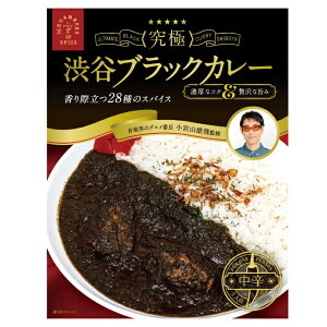 【メーカー直売】 小宮山雄飛監修 渋谷究極ブラックカレーレトルトカレー スパイスカレー 36チャンバーズ・オブ・スパイス 36チャンバーズ 36