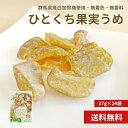 期間限定20%OFF!【群馬県産 ひとくち果実うめ 37g×24袋 】国産 梅 白加賀梅 青梅 ひとくち 群馬県産 ドライフルーツ ひとくち ドライ 半生 プレゼント ドライフルーツ 小分け リフレッシュ 南信州菓子工房 ギフト 詰合せ お菓子 長野 贈り物 個包装 送料無料 メール便