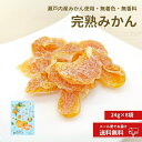 期間限定20%OFF!【国産 完熟みかん 24g×8袋】国産 ドライフルーツ みかん ミカン 蜜柑 柑橘 かんきつ 瀬戸内産 広島県産 まるごと 皮まで美味しく 半生 プレゼント ドライフルーツ 小分け リフレッシュ 南信州菓子工房 ギフト 個包装 送料無料 メール便 オレンジ