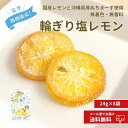 期間限定20%OFF!【夏季限定商品|輪ぎり塩レモン 24g×8袋】国産 ドライフルーツ 輪切り 輪ぎり レモン れもん 柑橘 かんきつ 皮まで美味しく 半生 プレゼント ドライフルーツ 小分け リフレッシュ 南信州菓子工房 ギフト 塩分 個包装 送料無料 メール便 季節限定