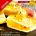 送料無料 ふじりんご2個分 シナモン不使用 リンゴパイ 並木物語2個セット 常温便 取り寄せ 絶品 りんごケーキ りんごパイ プレゼント アップルケーキ ホールケーキ 敬老の日 出産祝 内祝 入学祝 誕生日 贈り物 結婚祝 焼き菓子 チョコ以外 お返し 卒業