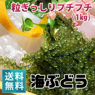 朝どり新鮮！生海ぶどう（1kg）（ 茎なし）【送料無料】｜沖縄 宮古島産 居酒屋 小料理 業務用にも ...