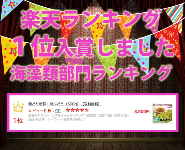 朝どり新鮮！生海ぶどう（500g）（ 茎なし）【送料無料】｜沖縄 宮古島産 居酒屋 小料理 おつまみに 業務用にも｜2023年度海ぶどう販売開始 3