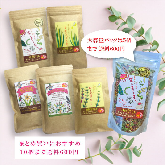 ハーブティー【スペアミント】(10g) 沖縄 ...の紹介画像2