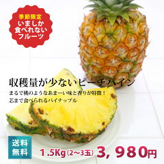 https://thumbnail.image.rakuten.co.jp/@0_mall/385store/cabinet/05434533/imgrc0068338075.jpg