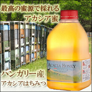 【業務用】ハンガリー産アカシア蜂蜜 2kgはちみつ【送料無料】【純粋蜂蜜】