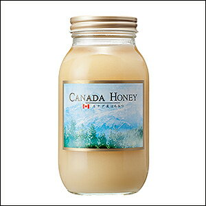非加熱　カナダ産　はちみつ 1.2kg（結晶タイプ）純粋蜂蜜