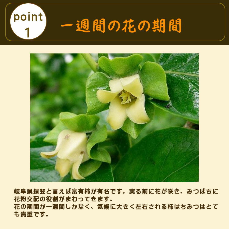 ���츩�� ���Ϥ��ߤ� 50g