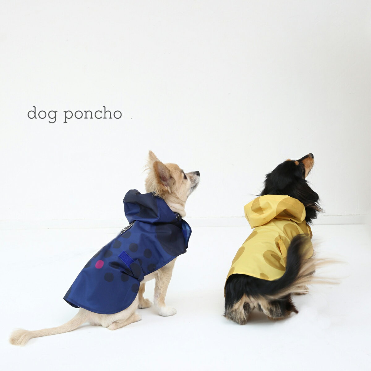 392plusm ドッグポンチョ（巾着つき）（ドッグウェア 犬 ドッグ 小型犬 レインコート レインウェア お散歩 雨合羽 カッパ おしゃれ レイングッズ 梅雨 ) dog poncho