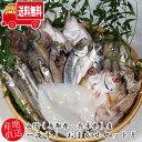 【レビュー特典あり】(地域限定送料無料)【冷凍でお届け】山陰産 一夜干し おまかせセットB(hkh002)