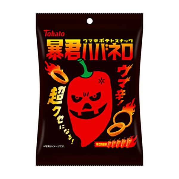 東ハト 暴君ハバネロ 50g 12コ入り 2024/10/28発売 (4901940115457)