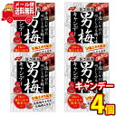 (全国送料無料) ノーベル 男梅キャンディ4袋セット さんきゅーマーチ メール便 (4902124681430sx4m)