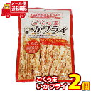 (全国送料無料) 家飲みしようよ！ダイコー食品 ごくうまいかフライ 55g 2コ入り メール便 (4974689007338sx2m)【送料無料 詰め合わせ 家飲み 家呑み おつまみ】