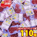(全国送料無料)【増量中】丹生堂 ちっちゃくなった まけんグミ グレープ味 110コ メール便 (4990327000653m)【送料無料 詰め合わせ おやつ ...