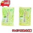 (全国送料無料)お菓子 詰め合わせ シャインマスカット大福【2コ】 メール便 (4990485048115sx2m)【送料無料 詰め合わせ おやつ 小袋 個包装...
