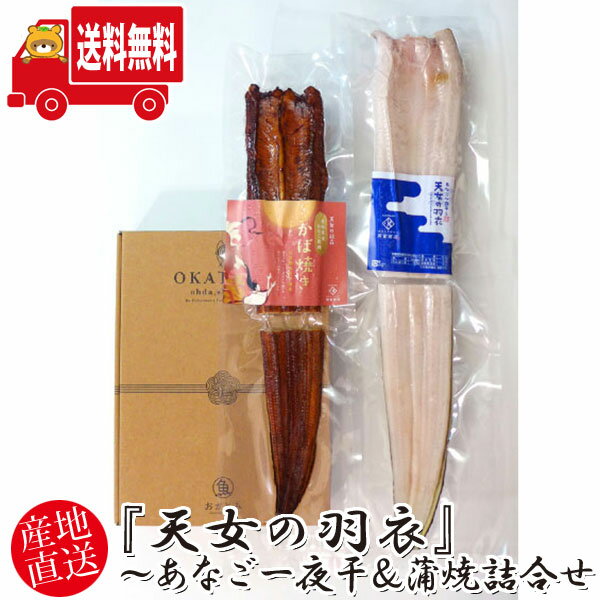(地域限定送料無料) 岡富商店 『天女の羽衣』〜あなご一夜干&蒲焼詰合せ〈穴子一夜干1枚(250g)・あなご蒲焼1枚(180g)〉冷凍 干物セット ギフト(so...