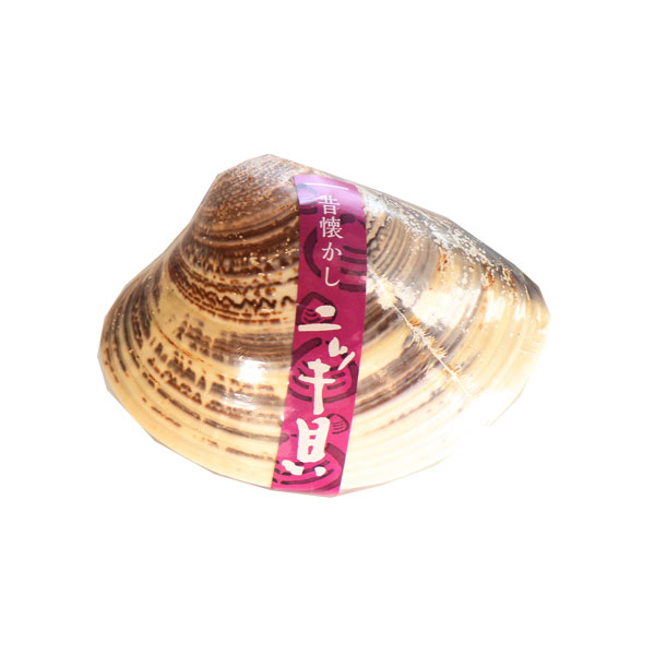 (地域限定送料無料) 昔懐かしいお菓子 西八製菓 ニッキ貝 10コ入り (omtma8806k)【懐かしい お菓子 詰め合わせ 駄菓子 飴 キャンディ 和菓子 島根 出雲 お土産 名物 ギフト 懐かしい味 おやつ 昭和 菓子】 3