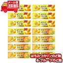 (全国送料無料) ロッテ はちみつカリンのど飴 & フルーツのど飴 各7コ・計14コ入り 食べ比べセット メール便 (omtmb0746)