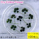 (全国送料無料)食べられる押し花 ドライエディブルフラワー クローバー(四つ葉) 100枚入り 食用花 ドライフラワー 有限会社トム メール便(omtmb723...