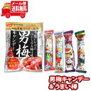 (全国送料無料)お菓子 詰め合わせ 1000円ぽっきり男梅キャンディうまい棒セット(2種・計5個) メール便 (omtmb8460)【お菓子 詰め合わせ 個包装...