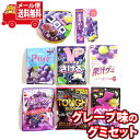 (全国送料無料) お菓子 詰め合わせ グレープのグミ食べ比べ(8種・計8個)セット メール便 (omtmb9284)【送料無料 詰め合わせ おやつ 駄菓子 持ち運び お試し お菓子】(4)
