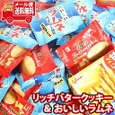 【レビュー特典あり】(全国送料無料) お菓子 詰め合わせ【プリッツ1個おまけ付】銀の汐 リッチバタークッキーとおいしいラムネ詰め合わせ(2種・計50コ) 当たるといいねセット メール便 (omtmb9579)【送料無料 おやつ 小袋 個包装 お試し】