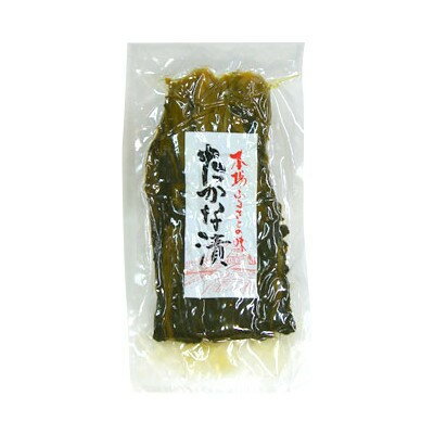 (全国送料無料) 江藤加工食品 高菜漬 500g メール便 (4953320800316m)