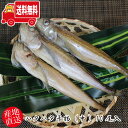 (地域限定送料無料)【産地直送!】浜の味をご家庭で ハタハタ干物(中) 10尾入(hkh006)