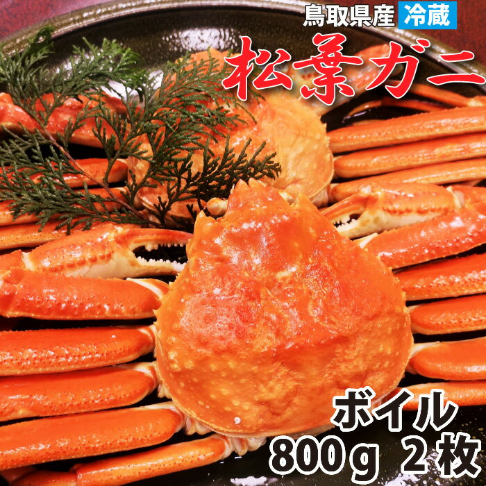 【レビュー特典あり】【鳥取から直送】贈答にも！ 冬の味覚 浜ゆで松葉ガニ 大 (800g以上) 2枚