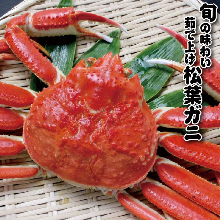 【レビュー特典あり】【鳥取から直送】贈答にも！ 冬の味覚 浜ゆで松葉ガニ 大 (800g以上) 2枚