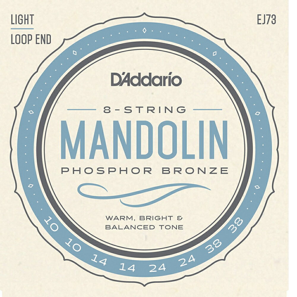 【ゆうパケット・送料無料】【D'Addario (ダダリオ)】マンドリン弦 EJ73 (EJ-73)