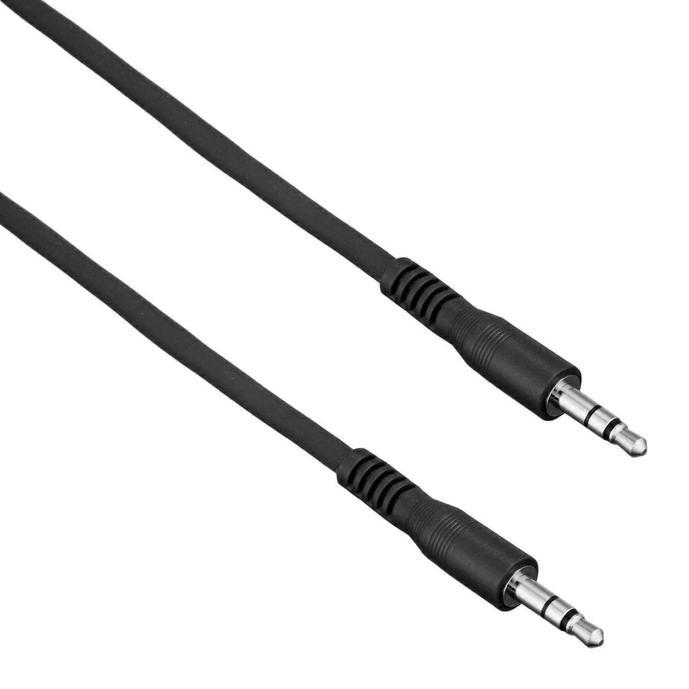 TRUE DYNA トゥルーダイナ オーディオ用 ラインケーブル TD-30SMSM (3m StMini×2)