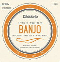 ダダリオのバンジョー用ストリングスです。 Irish Tenor Banjo, Nickel, 12-36 .012 .016 .024 .036 E-A-D-G パッケージか予告なく変更されることがござます。商品仕様につきましては変更はございませんので御了承お願い致します。　