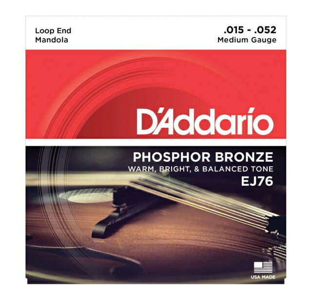 ڤ椦ѥåȡ̵ۡD'Addario ʥꥪˡۥޥɥ鸹 եե֥ Medium .015-.052 EJ76