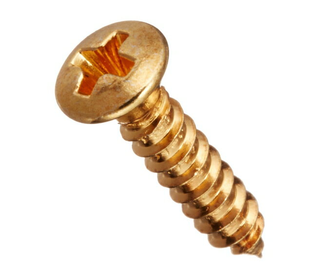 ピックガード用ビス W-PFG フェンダータイプ、インチサイズ、12P(ゴールド) ギターパーツに関する注意事項 ・ 商品画像はイメージになります。 カラー、サイズ等は商品名・商品説明文をご参照下さい。 ・ ギターパーツに関しては全て消耗品扱いとなり、保証対象外商品となります。 ・ サイズやカラーの注文間違いによる商品の返品・ご交換は一切お受け致しかねます。 ・ ギターパーツはメーカー取り寄せ商品となります。 ご注文後のキャンセルは一切お受け出来ませんのでご了承の上、ご注文下さい。