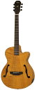 ARIA エレクトリックアコースティックギター FET-F2/STRB (Stained Brown)