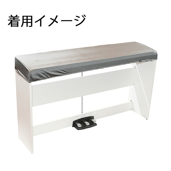 ��KORG(���륰)���Żҥԥ��Υ����ȥ��С� DC-P1 (B2 B2N B2SP�� )