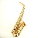 【Yanagisawa】【管楽器・アルトサックス】【代引き不可】 A-WO20