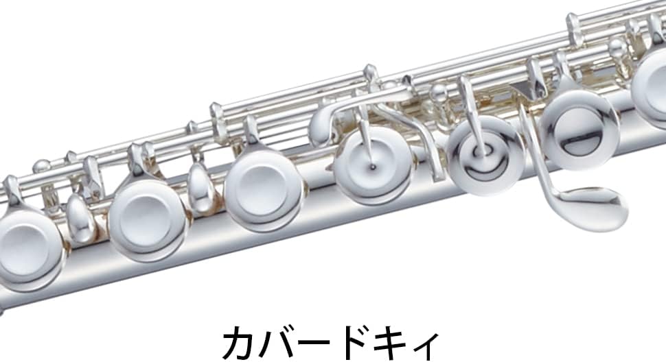 【送料無料】Pearl Flute パール フルート Quantz クヴァンツ・シリーズ 665 頭部...