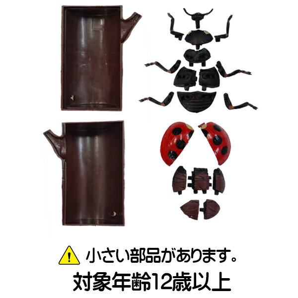 ポイント5倍！10/11まで昆虫パズルフィギュア　ミヤマクワガタ　リアル昆虫フィギュア　組立　立体パズル　エール　YPF-INSECT-MYK　昆虫 パズル おもちゃ 知育玩具