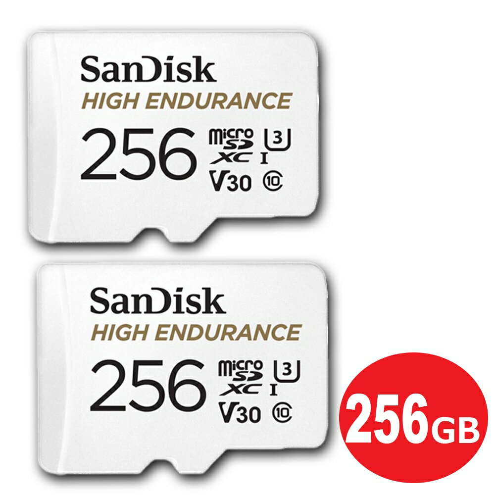 ＼楽天カードポイント8倍！5/15／サンディスク ドライブレコーダー用 高耐久 microSDXCカード 256GB 2枚入り SDアダプタ付 Class10 UHS-1 U3 V30 SDSQQNR-256G-GN6IA-2P ドラレコ対応 microSD SanDisk 海外リテール メール便送料無料